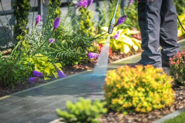 Best Parking Lot and Garage Cleaning  in Gillette, NJ
