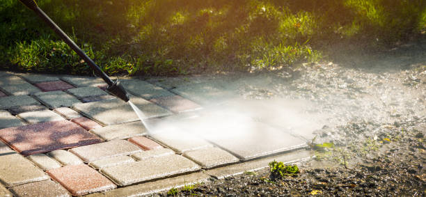 Best Animal Enclosure Cleaning  in Gillette, NJ